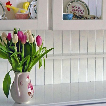 Craigielea Bed & Breakfast 갈라쉴즈 외부 사진